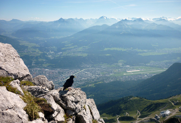 "Innsbruck" "Innsbruck"
